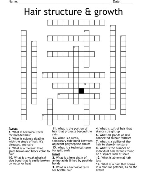 long thin length of hair crossword